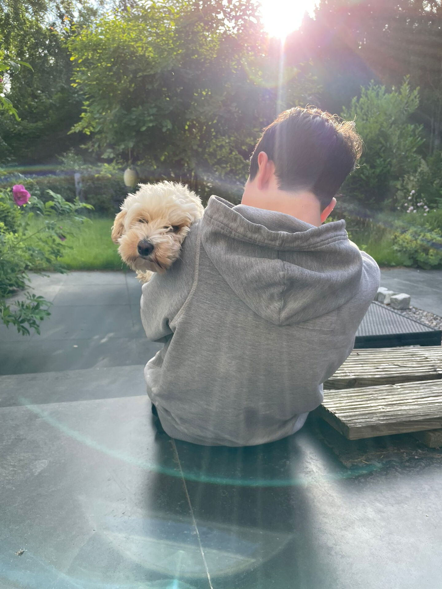 Schulhund Miss Marple auf dem Schoß von einem Kind